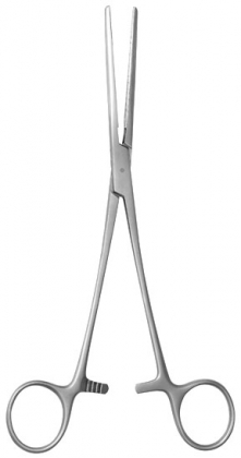 Rochester Carmalt 8" - Straight